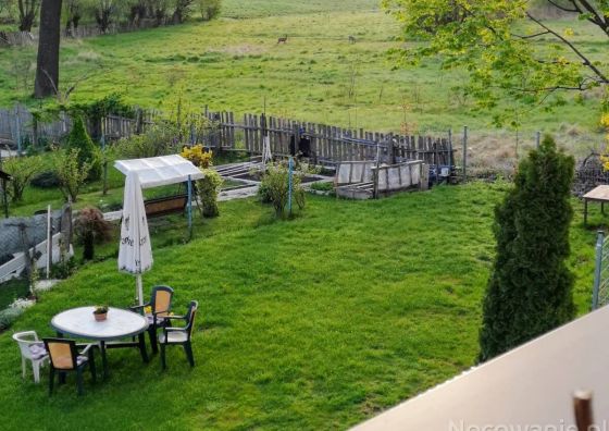 Noclegi u Ali Wałbrzych