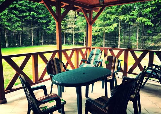 Leśna Kryjówka- Domki w Borach