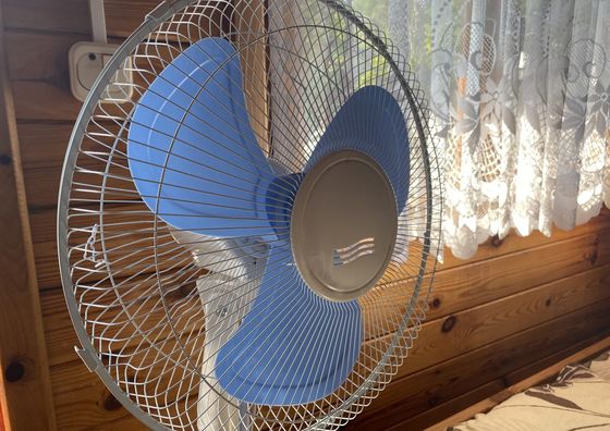 Domki wczasowe w Jastarni 