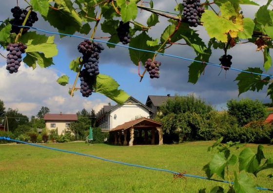 Gospodarstwo Gościnne Kamieniec Węgierska Górka II
