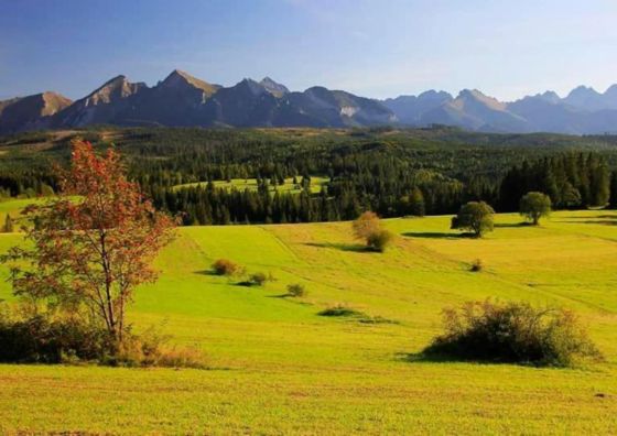 Pokoje Gościnne PANORAMA Rzepiska