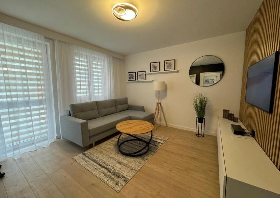 Vip Apartamenty Grabskiego