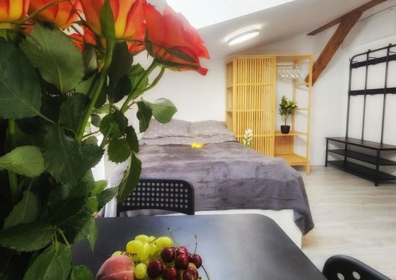 Apartamenty w Koszalinie