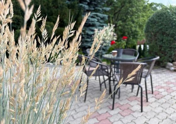 Apartament Carpe Diem Duszniki-Zdrój