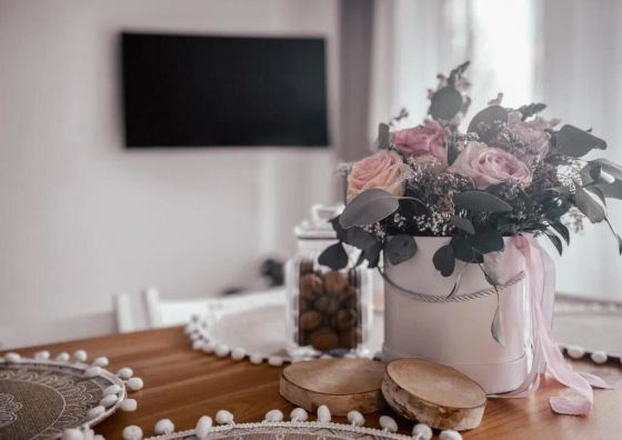 Apartament Carpe Diem Duszniki-Zdrój