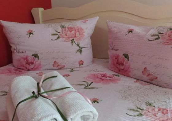 Willa Grono apartamenty i pokoje Krościenko nad Dunajcem