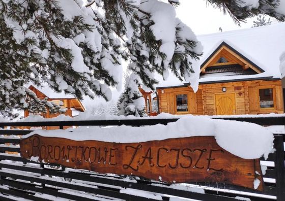 Borowikowe Zacisze Falsztyn, Szczawnica