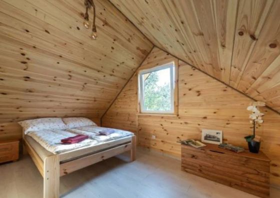 Zagajnik Białowieża