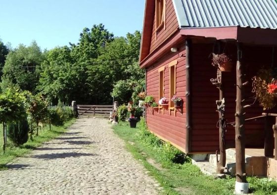 Pokoje Olsik Białowieża