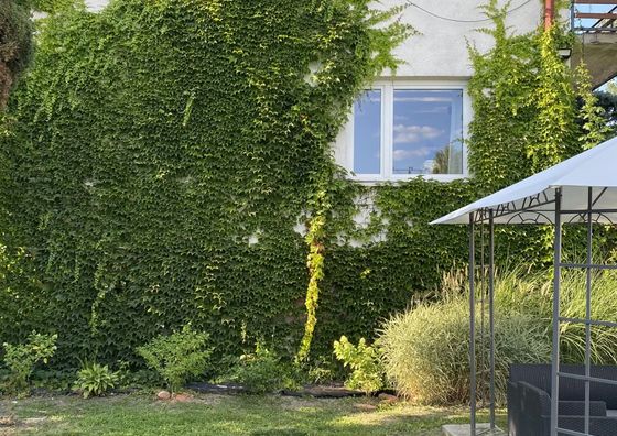 Zielony Domek Sandomierz