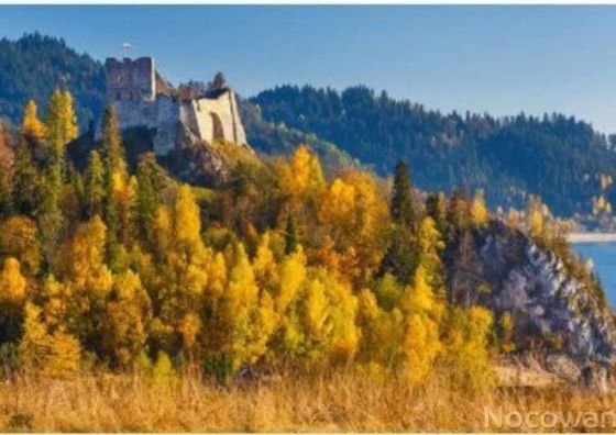 Pokoje Gościnne U Tosi Czorsztyn II