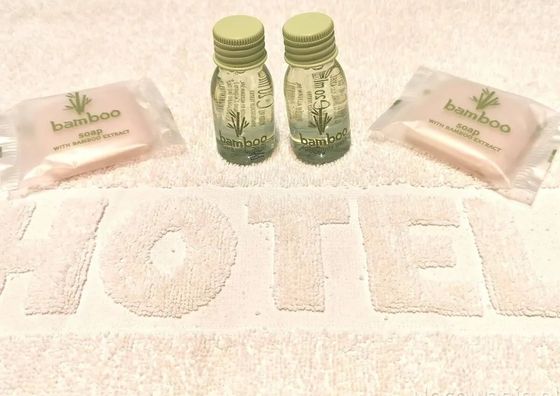 Apartament Nicolaus Toruń