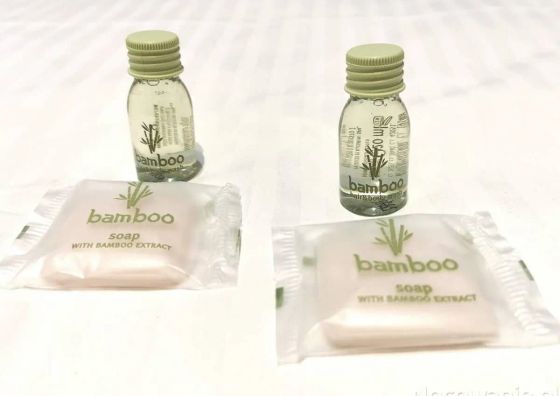 Apartament Nicolaus Toruń