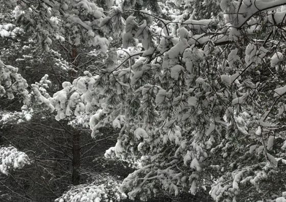 U Progu Lasu - Szteklin