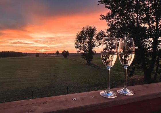 U Progu Lasu - Szteklin