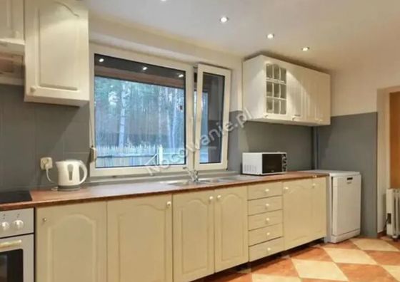 Leśna Odnowa Borków, Kielce