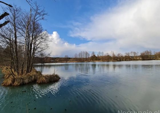 Rudnianówka Łukawica, Susiec