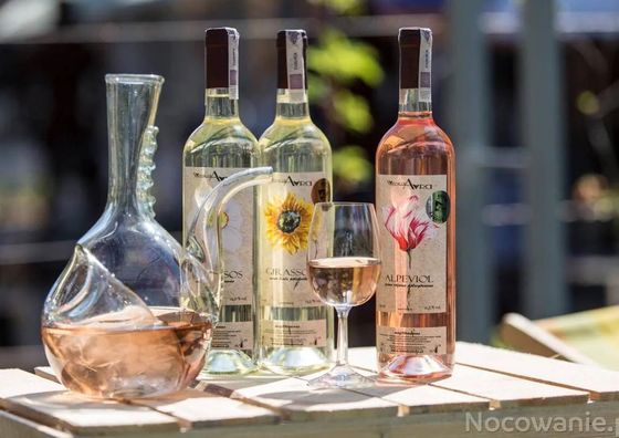 Winnica Avra Szydłów