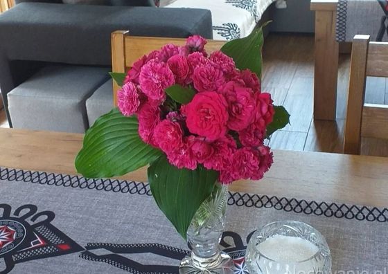 Domki w Pieninach Całoroczne Krościenko nad Dunajcem