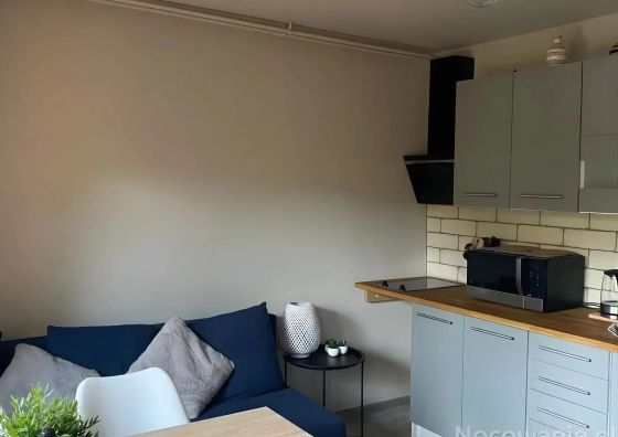 Apartament nad Grajcarkiem Szczawnica