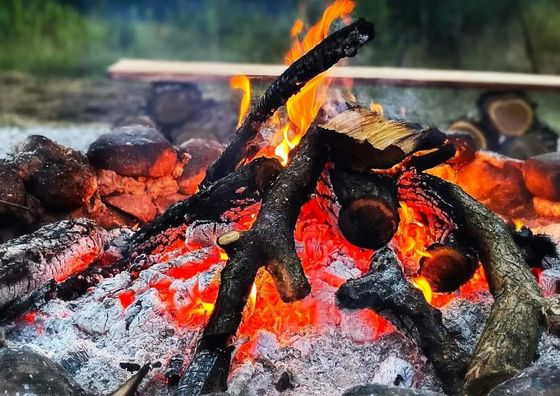 Życia Smak Life's Flavour