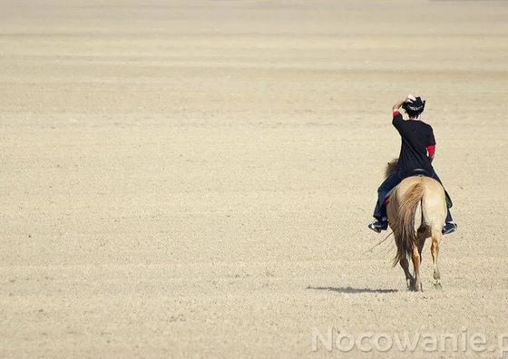 Domek w górach Międzylesie
