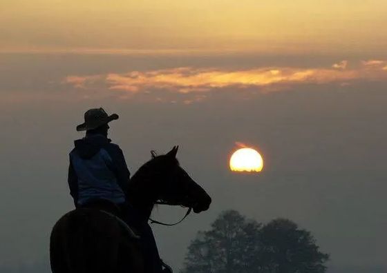 Domek w górach Międzylesie