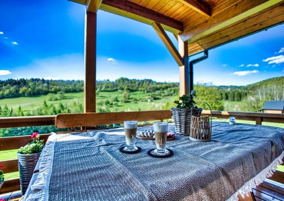 Żubrowe Wzgórze Stężnica, Baligród