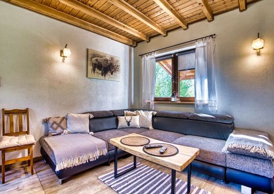 Żubrowe Wzgórze Stężnica, Baligród