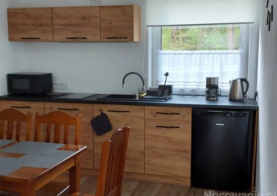 Domek nad potokiem Kamienica