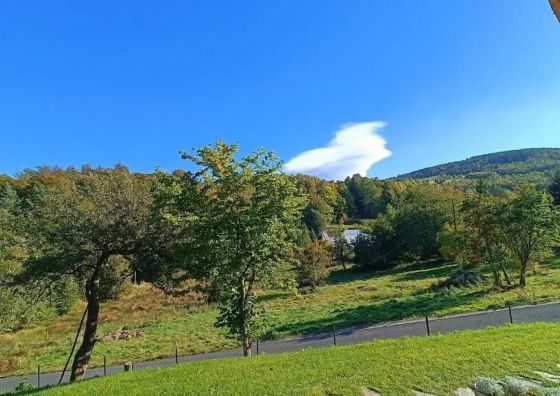 Apartament Sadyba