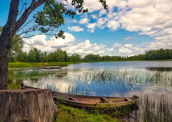 Apartament Mikołajki SWAN