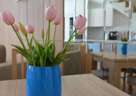 Apartament Mario Mechelinki II