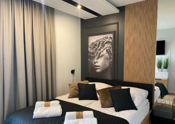 Family & Business Elegant Apartments Kadzielnia, ul Zgody, Stadion Korona, WDK Kielce