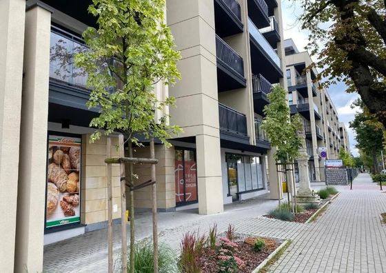 Family & Business Elegant Apartments, Kadzielnia, WDK, Stadion Korona