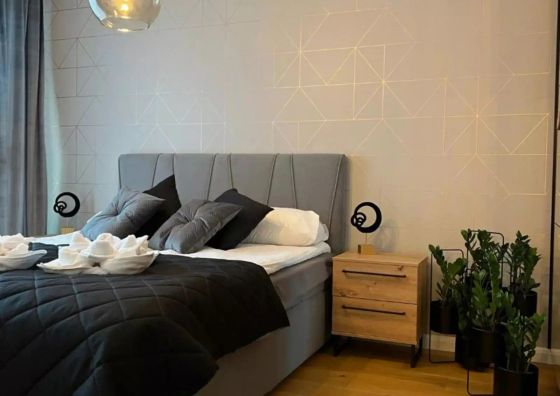 Family & Business Elegant Apartments, Kadzielnia, WDK, Stadion Korona