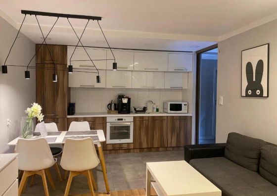  Family & Business Elegant Apartments Rynek Centrum Downtown