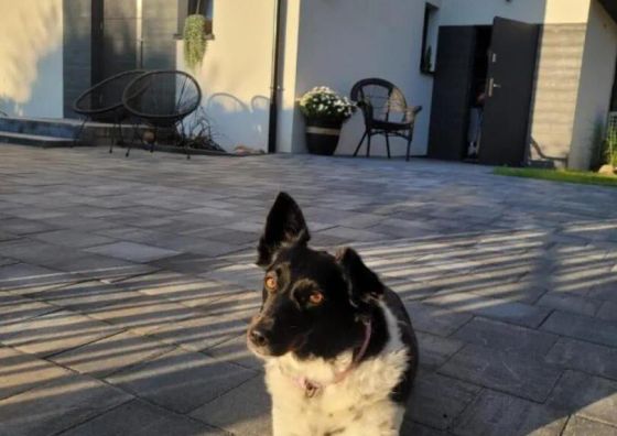 Apartamenty Meduza Białogóra