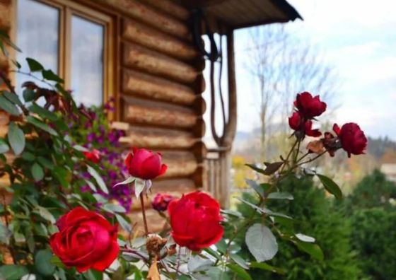 Domki Góralskie Szwajnosówka