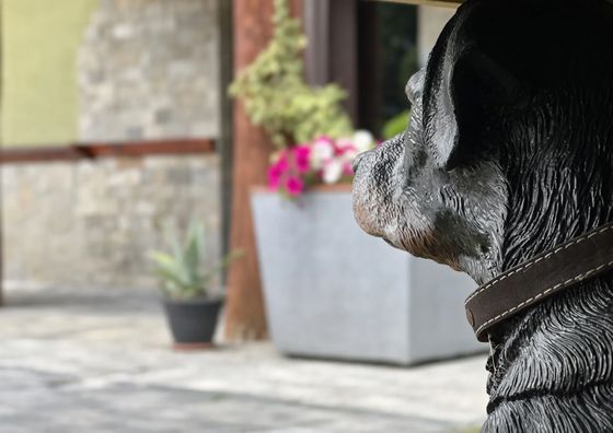 Apartamenty Gosia & Mariusz Biały Dunajec 