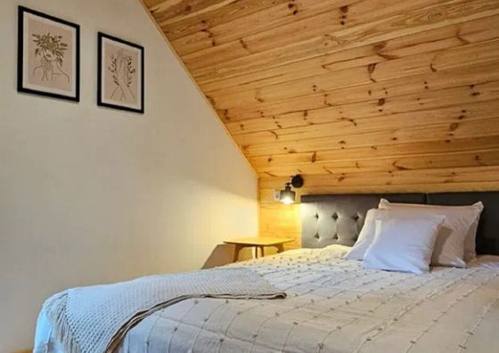 Między Brzozami / Domy w lesie