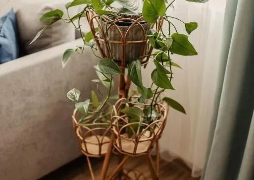 Mizerna Cicha Noclegi Blisko Natury