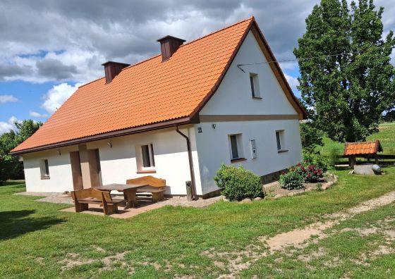 Między lasem a jeziorem Czarnówka 
