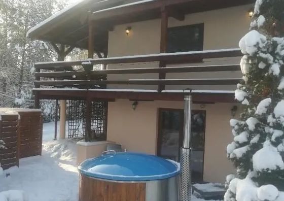 Domek Aleksander z basenem, banią ruską i sauną