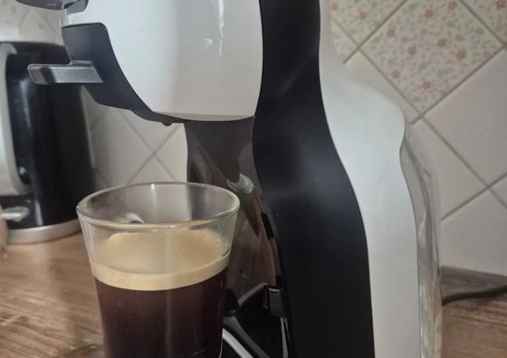 Natura Bukowina Tatrzańska 