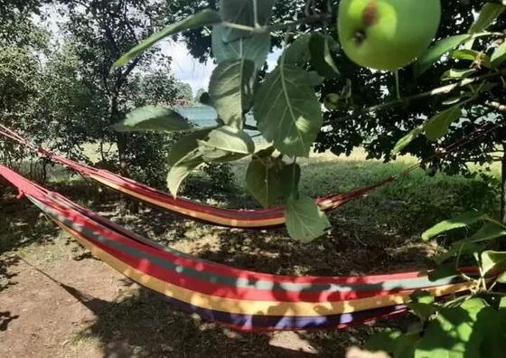 Stodoła Home&Chill Chojno