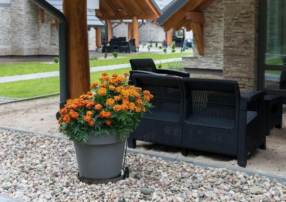  Apartamenty Leśna7 Sztutowo