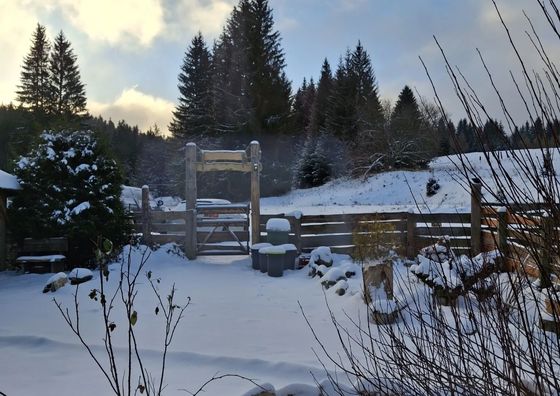 Pensjonat Leśniczówka Zieleniec