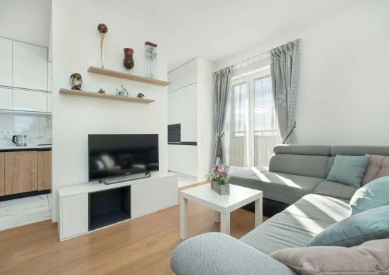 Żeligowskiego 43F | Przytulny apartament | Smart TV Łódź
