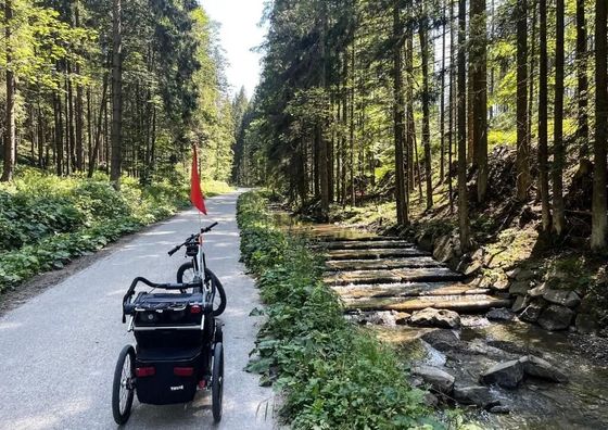 Willa Górski Azyl Soblówka